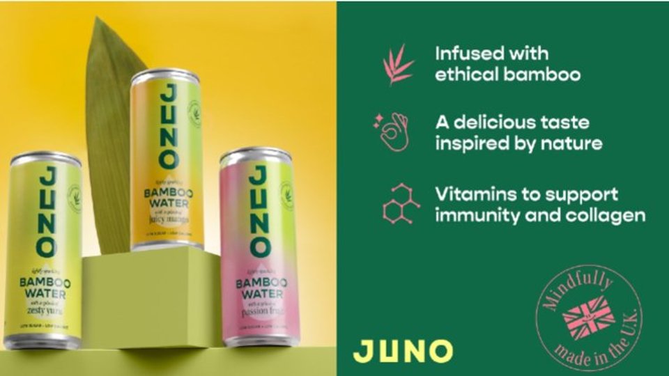 Juno Bamboo Water image