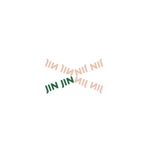 JIN JIN logo