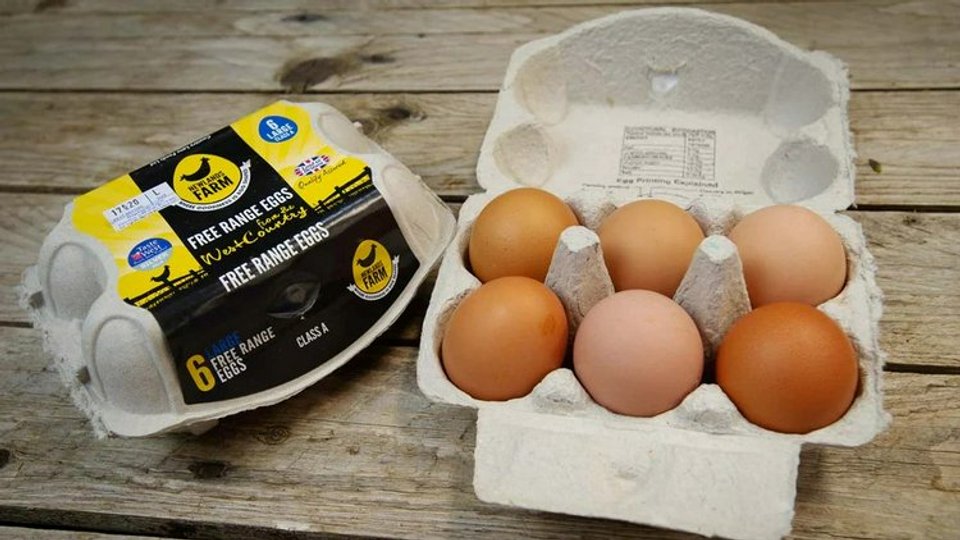 Newlands Fam Eggs image