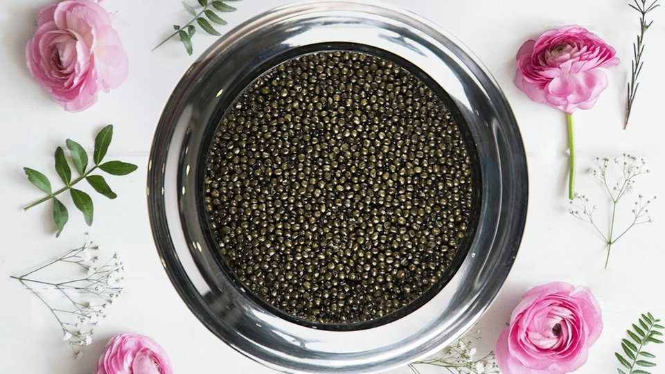 Caviar Russe image
