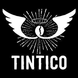 Tintico logo