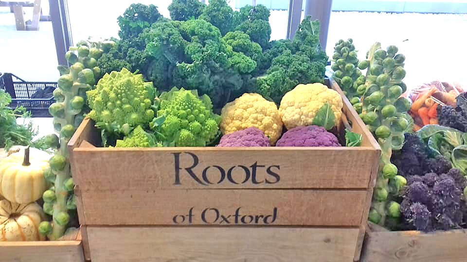 Roots of Oxford image