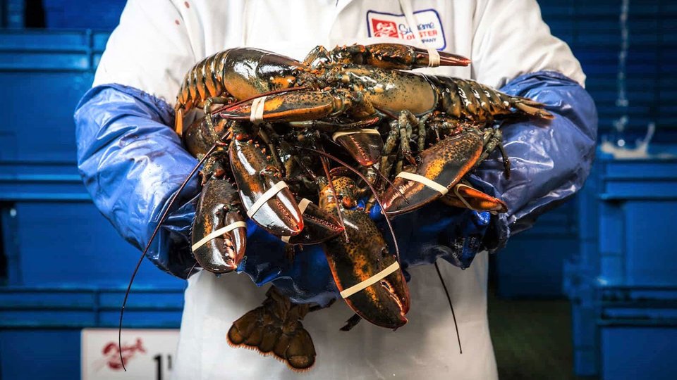 Supreme Lobster image