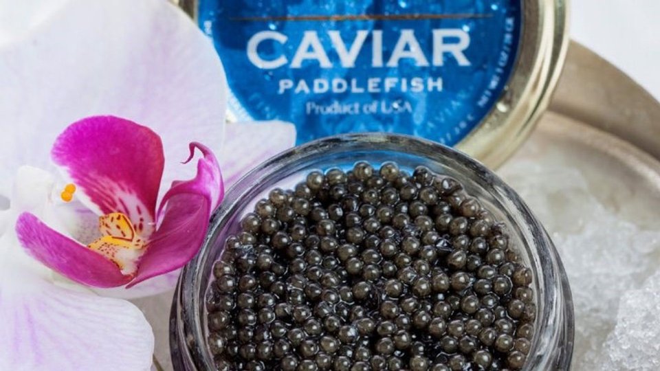 American Caviar image