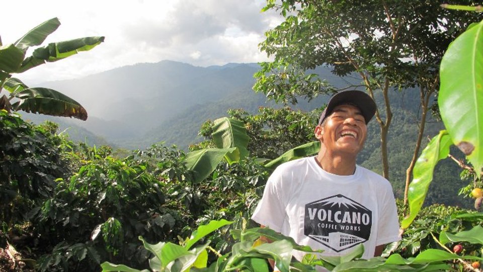 Volcano Coffee image