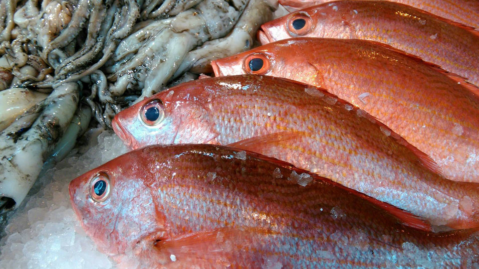 Paradise Seafood Order Online REKKI