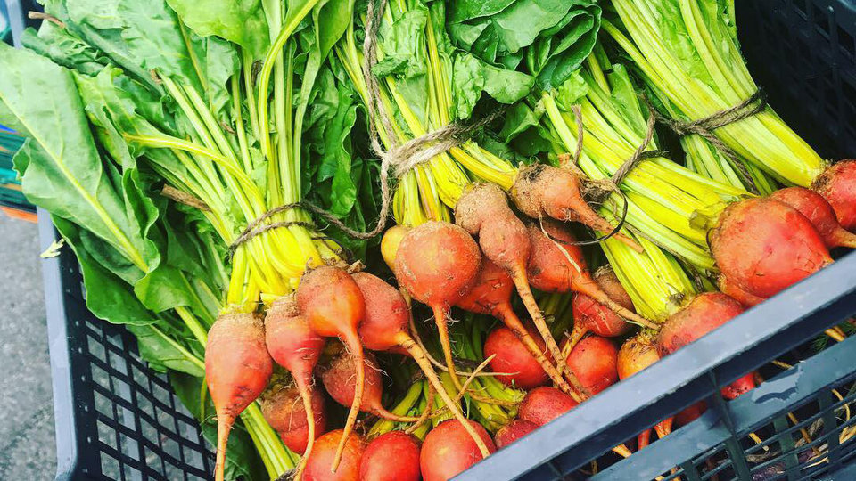 Adams Wholesale Order Online REKKI