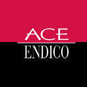 Ace Endico logo