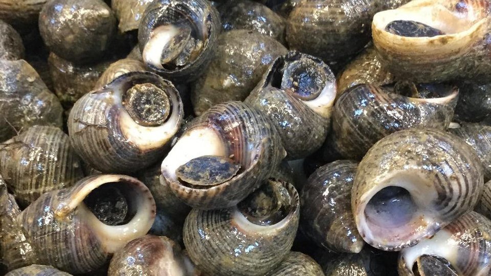 Diana's Seafood image