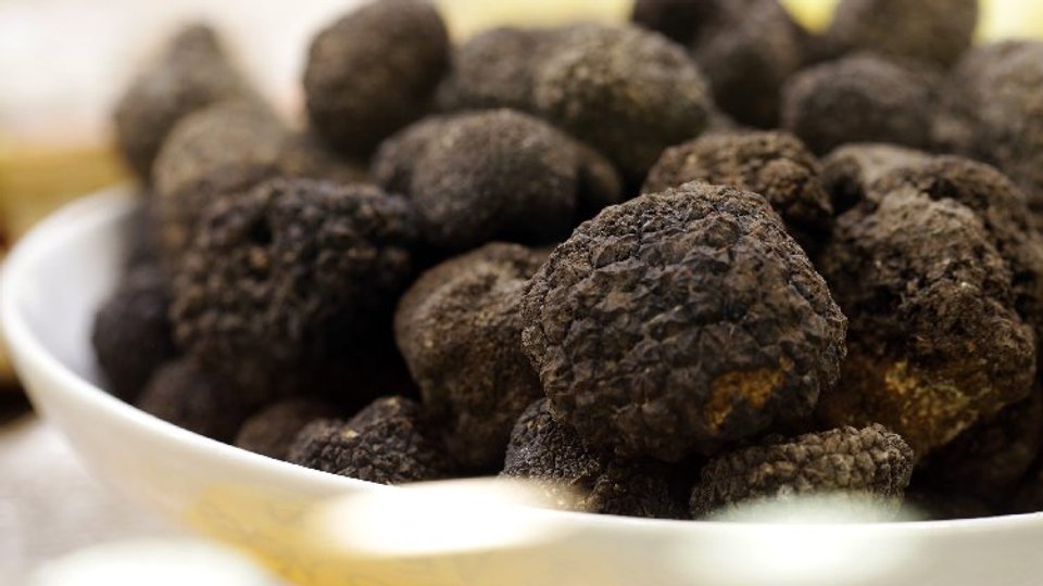 Urbani Truffles UK image