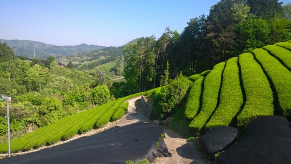 Lalani & Co London image