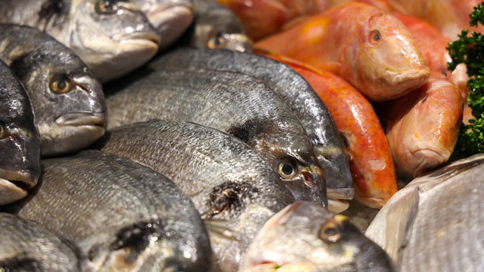 Sandys Fishmongers image
